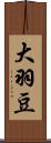 大羽豆 Scroll