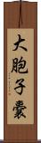 大胞子嚢 Scroll