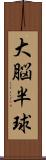 大脳半球 Scroll