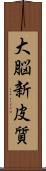 大脳新皮質 Scroll