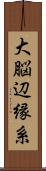 大脳辺縁系 Scroll