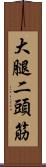 大腿二頭筋 Scroll