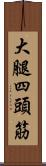 大腿四頭筋 Scroll