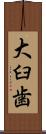 大臼歯 Scroll