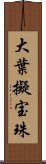 大葉擬宝珠 Scroll