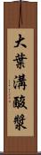 大葉溝酸漿 Scroll