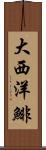 大西洋鯡 Scroll
