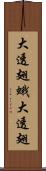 大透翅蛾 Scroll