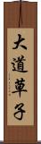 大道草子 Scroll