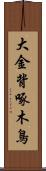 大金背啄木鳥 Scroll