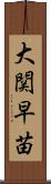 大関早苗 Scroll