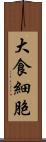 大食細胞 Scroll