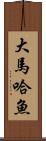 大馬哈魚 Scroll