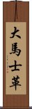 大馬士革 Scroll