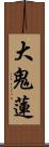 大鬼蓮 Scroll
