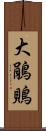 大鵑鵙 Scroll