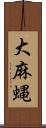 大麻蝿 Scroll