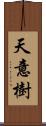 天意樹 Scroll