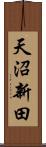 天沼新田 Scroll