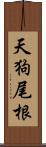 天狗尾根 Scroll