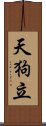 天狗立 Scroll