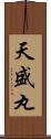 天盛丸 Scroll