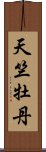 天竺牡丹 Scroll