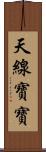 天線寶寶 Scroll