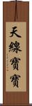 天線寶寶 Scroll