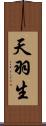 天羽生 Scroll