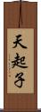 天起子 Scroll