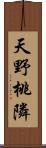 天野桃隣 Scroll