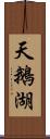 天鵝湖 Scroll