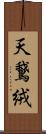 天鵞絨 Scroll