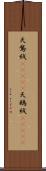 天鵞絨(ateji) Scroll