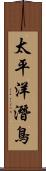 太平洋潛鳥 Scroll