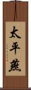 太平燕 Scroll