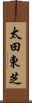 太田東芝 Scroll