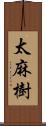 太麻樹 Scroll