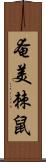 奄美棘鼠 Scroll