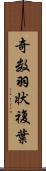 奇数羽状複葉 Scroll