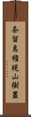 奈留島権現山樹叢 Scroll