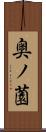 奥ノ薗 Scroll