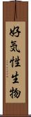 好気性生物 Scroll