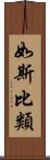 如斯比類 Scroll