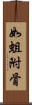 如蛆附骨 Scroll