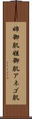 姉御肌 Scroll