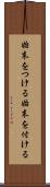 始末をつける Scroll