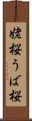 姥桜 Scroll