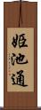 姫池通 Scroll
